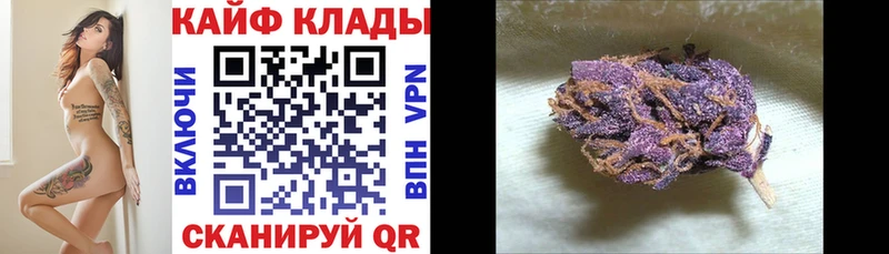 Где можно купить наркотики Новая Ляля Alpha PVP  МДМА  Конопля  Гашиш 