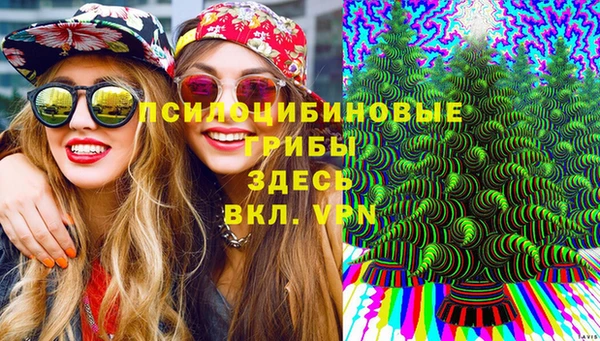 мяу мяу мука Армянск