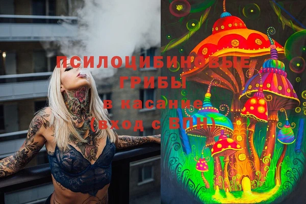 мяу мяу мука Армянск